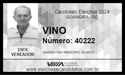 Candidato VINO 2024 - GOIANDIRA - Eleições