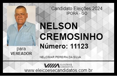 Candidato NELSON CREMOSINHO 2024 - IPORÁ - Eleições