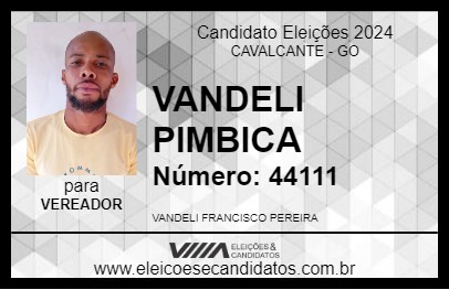 Candidato VANDELI PIMBICA 2024 - CAVALCANTE - Eleições