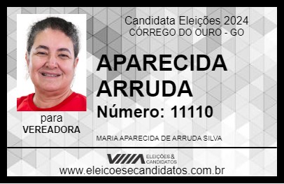 Candidato APARECIDA ARRUDA 2024 - CÓRREGO DO OURO - Eleições