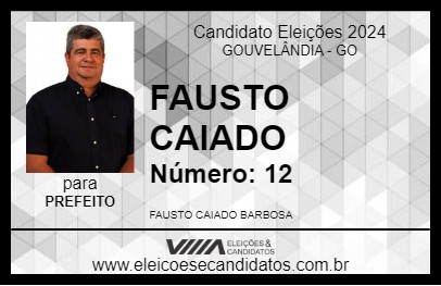 Candidato FAUSTO CAIADO 2024 - GOUVELÂNDIA - Eleições