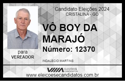 Candidato VÔ BOY DA MARAJÓ 2024 - CRISTALINA - Eleições