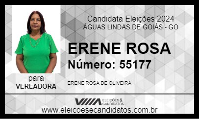 Candidato ERENE ROSA 2024 - ÁGUAS LINDAS DE GOIÁS - Eleições