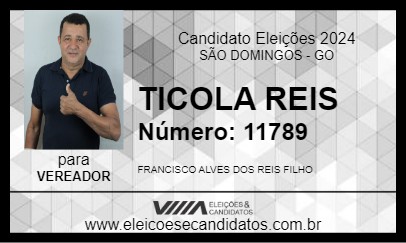 Candidato TICOLA REIS 2024 - SÃO DOMINGOS - Eleições