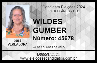 Candidato WILDES GUMBER 2024 - NIQUELÂNDIA - Eleições