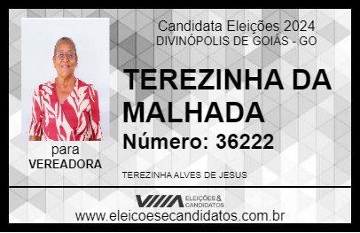 Candidato TEREZINHA DA MALHADA 2024 - DIVINÓPOLIS DE GOIÁS - Eleições