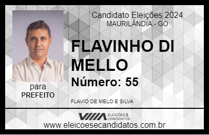 Candidato FLAVINHO DI MELLO 2024 - MAURILÂNDIA - Eleições