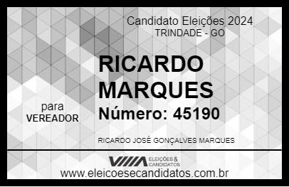 Candidato RICARDO MARQUES 2024 - TRINDADE - Eleições