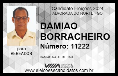 Candidato DAMIAO BORRACHEIRO 2024 - ALVORADA DO NORTE - Eleições