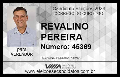 Candidato REVALINO PEREIRA 2024 - CÓRREGO DO OURO - Eleições