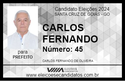 Candidato CARLOS FERNANDO 2024 - SANTA CRUZ DE GOIÁS - Eleições