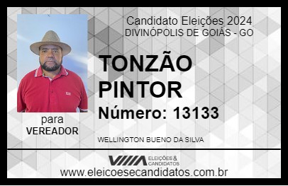 Candidato TONZÃO PINTOR 2024 - DIVINÓPOLIS DE GOIÁS - Eleições