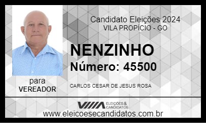 Candidato NENZINHO 2024 - VILA PROPÍCIO - Eleições