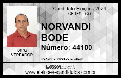 Candidato NORVANDI BODE 2024 - CERES - Eleições