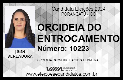 Candidato ORCIDEIA DO ENTROCAMENTO 2024 - PORANGATU - Eleições