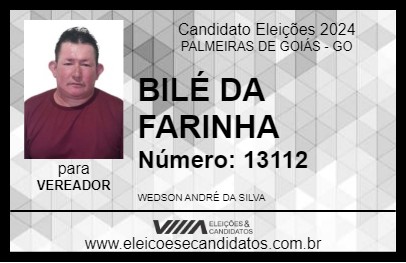 Candidato BILÉ DA FARINHA 2024 - PALMEIRAS DE GOIÁS - Eleições