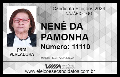 Candidato NENÊ DA PAMONHA 2024 - NAZÁRIO - Eleições