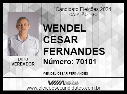 Candidato WENDEL CESAR FERNANDES 2024 - CATALÃO - Eleições