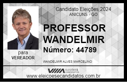 Candidato PROFESSOR WANDELMIR 2024 - ANICUNS - Eleições