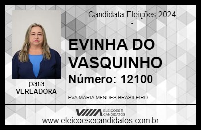 Candidato EVINHA DO VASQUINHO 2024 - PIRES DO RIO - Eleições