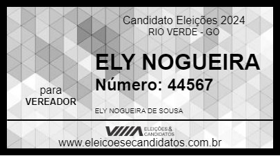 Candidato ELY NOGUEIRA 2024 - RIO VERDE - Eleições