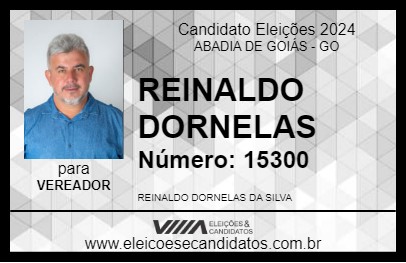 Candidato REINALDO DORNELAS 2024 - ABADIA DE GOIÁS - Eleições