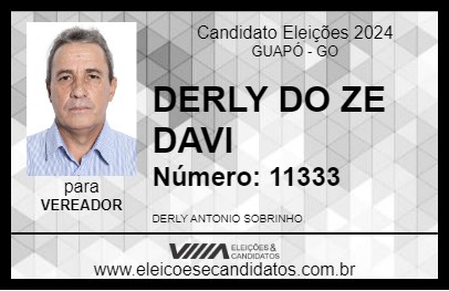 Candidato DERLY DO ZE DAVI 2024 - GUAPÓ - Eleições