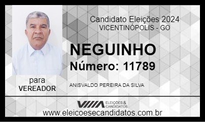 Candidato NEGUINHO 2024 - VICENTINÓPOLIS - Eleições