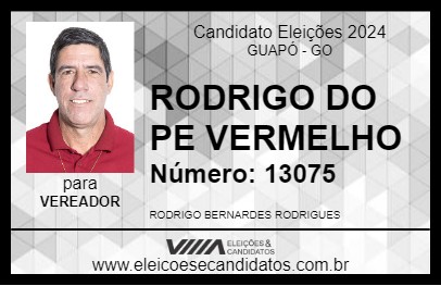 Candidato RODRIGO DO PE VERMELHO 2024 - GUAPÓ - Eleições