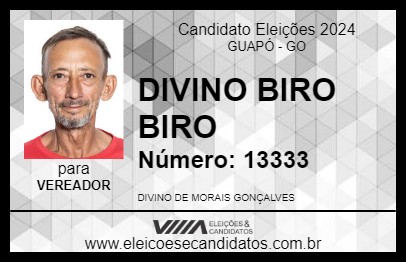 Candidato DIVINO BIRO BIRO 2024 - GUAPÓ - Eleições