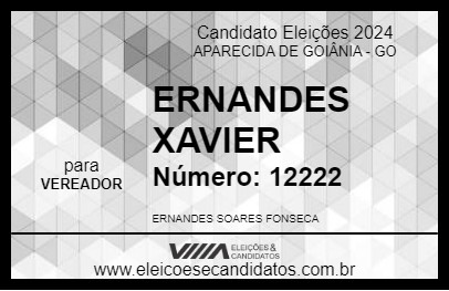 Candidato ERNANDES XAVIER 2024 - APARECIDA DE GOIÂNIA - Eleições