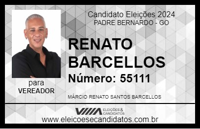 Candidato RENATO BARCELLOS 2024 - PADRE BERNARDO - Eleições