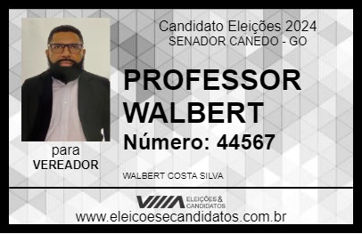 Candidato PROFESSOR WALBERT 2024 - SENADOR CANEDO - Eleições