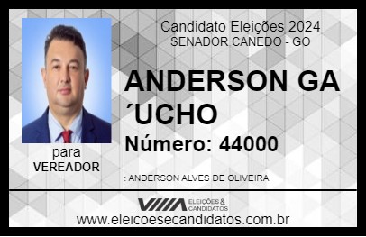 Candidato ANDERSON GAÚCHO 2024 - SENADOR CANEDO - Eleições