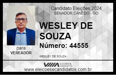 Candidato WESLEY DE SOUZA  2024 - SENADOR CANEDO - Eleições