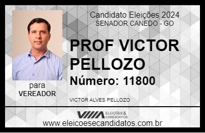 Candidato PROF VICTOR PELLOZO 2024 - SENADOR CANEDO - Eleições