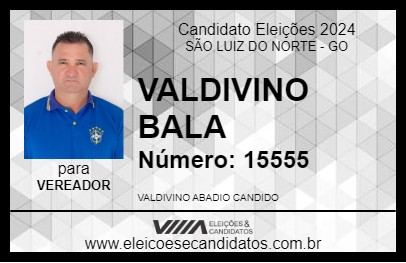 Candidato VALDIVINO BALA 2024 - SÃO LUIZ DO NORTE - Eleições