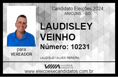 Candidato LAUDISLEY VEINHO 2024 - ANICUNS - Eleições