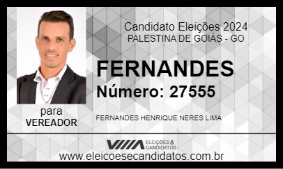 Candidato FERNANDES 2024 - PALESTINA DE GOIÁS - Eleições