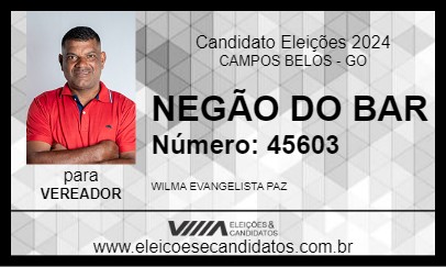 Candidato NEGÃO DO BAR 2024 - CAMPOS BELOS - Eleições