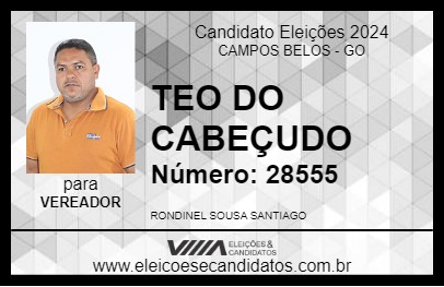 Candidato TEO DO CABEÇUDO 2024 - CAMPOS BELOS - Eleições