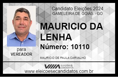 Candidato MAURICIO DA LENHA 2024 - GAMELEIRA DE GOIÁS - Eleições