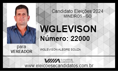 Candidato WGLEVISON 2024 - MINEIROS - Eleições