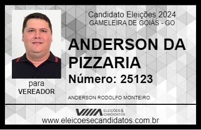 Candidato ANDERSON DA PIZZARIA 2024 - GAMELEIRA DE GOIÁS - Eleições