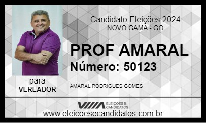 Candidato PROF AMARAL 2024 - NOVO GAMA - Eleições