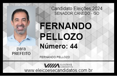 Candidato FERNANDO PELLOZO 2024 - SENADOR CANEDO - Eleições