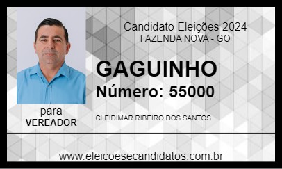 Candidato GAGUINHO 2024 - FAZENDA NOVA - Eleições