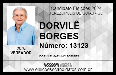 Candidato DORVILÊ BORGES 2024 - TEREZÓPOLIS DE GOIÁS - Eleições