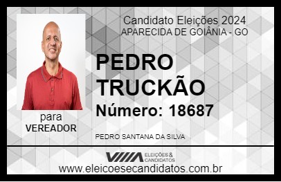 Candidato PEDRO TRUCKÃO 2024 - APARECIDA DE GOIÂNIA - Eleições