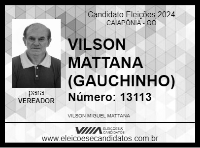 Candidato VILSON MATTANA (GAUCHINHO) 2024 - CAIAPÔNIA - Eleições